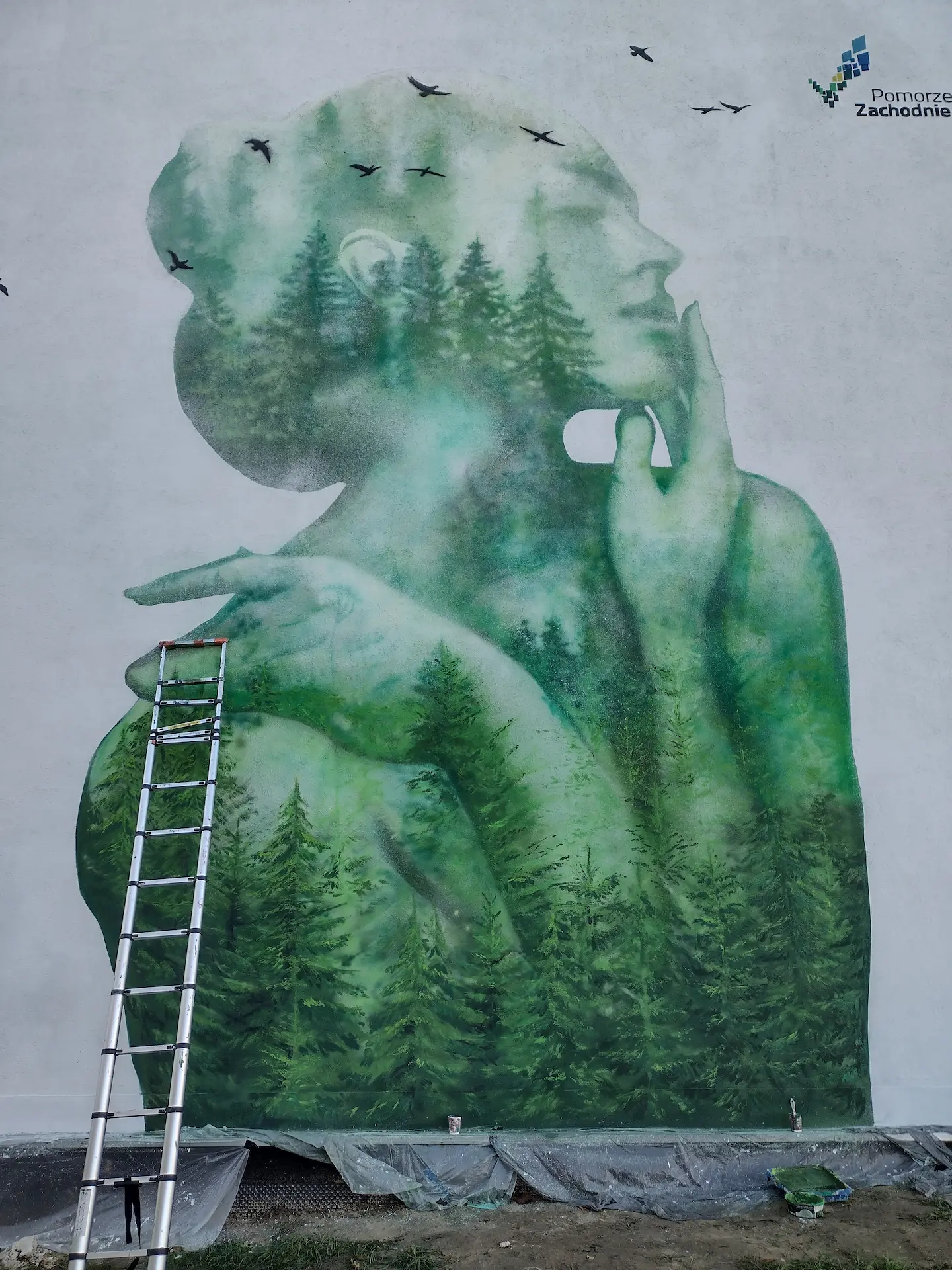 Gotowy mural antysmogowy w Policach