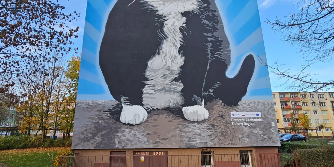 Mural ekologiczny w Szczecinie, Wielki Gacek - 1