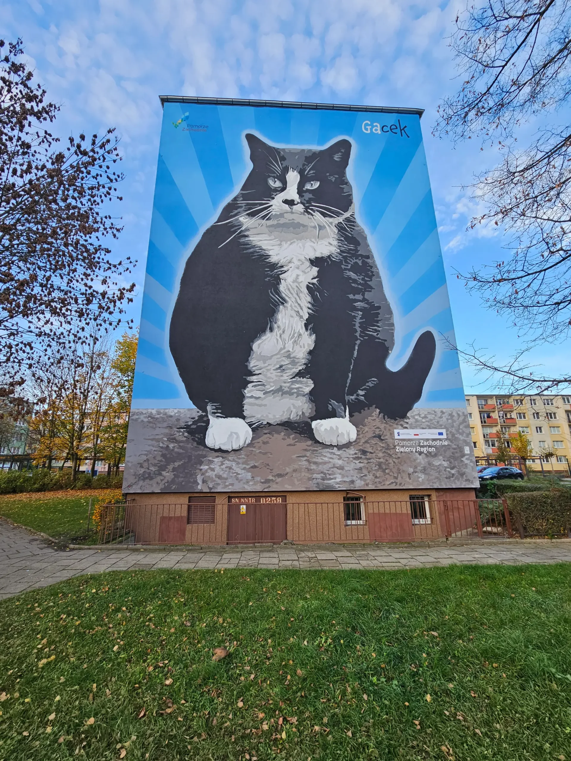 Mural ekologiczny w Szczecinie, Wielki Gacek - 1